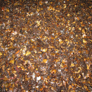 Cáscara de Nuez de Anacardo Residual de Vietnam para Calentar y Quemar - Product Image 1