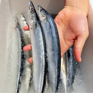 Saury del Pacífico Congelado a Granel, Tamaño Pequeño 3, Material Crudo Capturado en el Campo para Fábricas de Enlatado y Procesamiento de Snacks en el Sudeste Asiático - Product Image 4