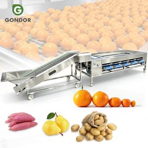 Máquina de Clasificación y Calibración de Frutas (Nuez, Cítricos, Tomate, Manzana) por Tamaño, para Mangostán, con Función de Lavado y Encerado - Product Image 1