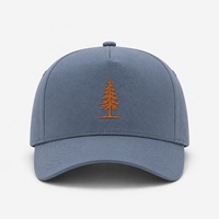 Topi Baseball 5 Panel Bahan Katun Twill Label Pribadi, Bordir Badge, Tali Belakang Dapat Disesuaikan, untuk Penjualan Eceran Luar Ruangan
