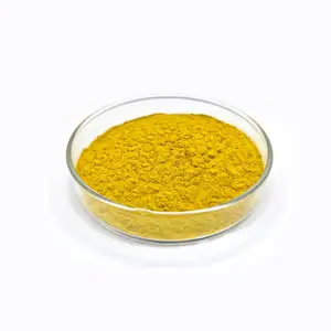 China supplier Healthy Food Additive food grade nutritional yeast improve immunity nutritional yeast Flakes
