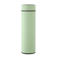 Bouteilles d'eau isothermes en acier inoxydable 304 à double paroi, sans BPA, personnalisées pour le sport et la gym, avec affichage LED de la température, vente en gros