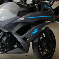 Autocollants décoratifs électroluminescents à haute luminosité pour moto avec lumière constante ou effet de clignotement automatique