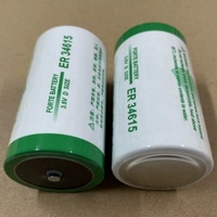 Batterie de secours intelligente au lithium-ion 3,6 V ER34615 pour compteurs d'eau, d'électricité, de chaleur et de gaz, type 1D