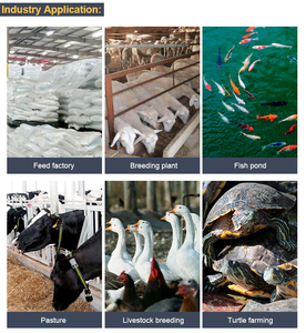 Extrudeuse d'aliments pour poissons, machine pour fabrication de granulés, aliments flottants, bon marché, - Product Image 4