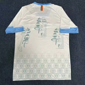 Voetbalshirt van goede kwaliteit voor volwassenen, ademend, fanversie 25/26, met aangepast logo en naam, Congo's uniformen - Product Image 5