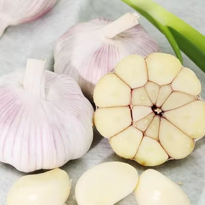 Éplucheur d'ail automatique en acier inoxydable et machine à éplucher l'ail efficace de 200 W - Équipement de traitement de l'ail facile à utiliser - Product Image 2