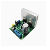 Module amplificateur de puissance mono 20W 1969 petite classe A avec radiateur, alimentation DC12V, carte amplificateur audio électronique
