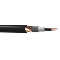 Cable de Corriente Pesada Aislado en PVC NYCY, Conductor Concéntrico de Cobre Desnudo, 0.6/1kV Baja Tensión, Temperatura de Trabajo 90C para Energía