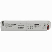 Panel de Luz LED con Batería Externa, Convertidor de Emergencia 220-240VAC 3W 20-200VDC 12-150mA CB CE SAA para Hotel, Centro Comercial, Escuela, Comercio Minorista, Clínica
