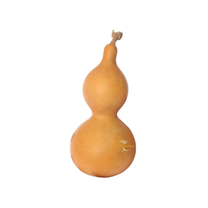 Gourdes séchées en gros, artisanat de style rustique, décoration artisanale, Vietchoice, écologique - Product Image 2