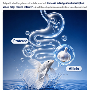 Alimento para Peces Yee Goldfish, Alto en Proteínas, en Gránulos Pequeños, para Peces Oranda, Ranchu, Telescope y Koi, Alimento Flotante, Dieta Nutritiva Diaria - Product Image 3