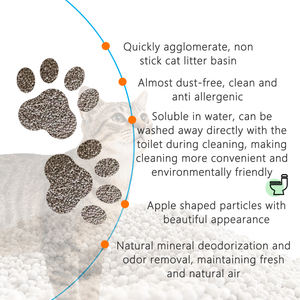 Areia para Gato Mineral Biodegradável Super Absorvente Solúvel em Água 1kg Envio do Fabricante - Product Image 3