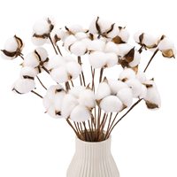 Tiges de fleurs de coton séchées, 50 pièces, plantes florales artificielles, décorations de ferme pour Vase, décor de maison