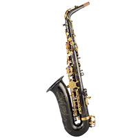 Factory Price Black Nickel Body Gold Lacquer Keys Alto Saxophone