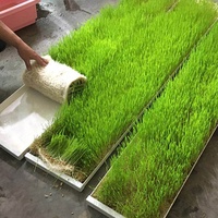 Système hydroponique dwc seaux microgreens système de culture