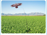 Cerf-volant effaroucheur d'oiseaux Aigle Volant avec mât télescopique, dissuasif à énergie éolienne pour le contrôle des pigeons agricoles, vente en gros