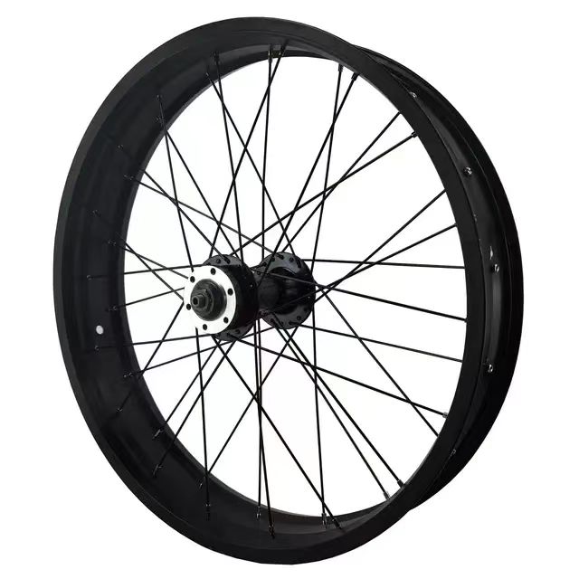 20x4.0 20インチ 36本スポーク 135mmドロップアウト オープンサイズ