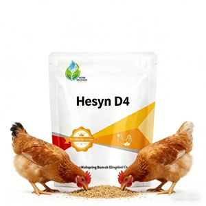 Acides aminés de qualité alimentaire probiotiques résistants au stress thermique pour les poules pondeuses - Hesyn D4 à haute activité enzymatique pour les élevages de poules pondeuses à grande échelle - Product Image 2