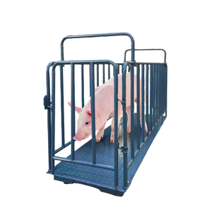 Báscula para Ganado Veidt TCS-C, Capacidad de 3000 kg, Plataforma de 1.0 m x 1.0 m/1.0 m x 1.2 m, Pantalla LCD, Acero al Carbono - Product Image 1