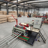 Mesin Pengupas Veneer Kayu Tanpa Spindel Berkecepatan Tinggi 47kW untuk Produksi Kayu Lapis