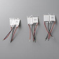 Module de refroidissement TEC Peltier pour appareils médicaux et esthétiques israéliens, puce de refroidissement thermoélectrique à haute efficacité