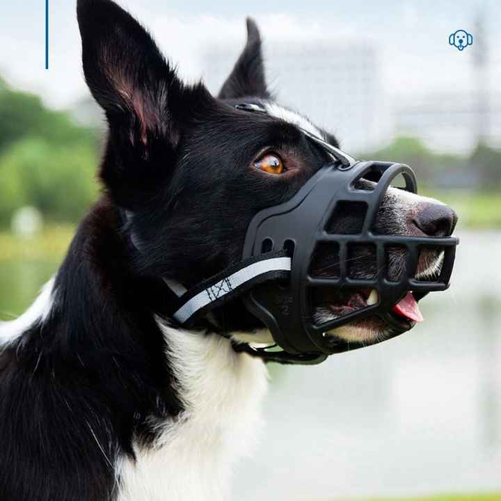 Clearance soft muzzle to stop barking Flash Sales