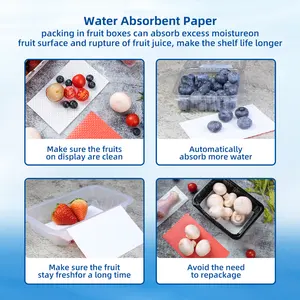 Fruit Absorbent Pads For Food Packaging Absorbent Paper Soaker Food Grade Absorbent Blood Absorb Vegetables Absorbent