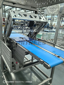 Устройство для нарезки порций лосося для оптимизации ROI в пищевой промышленности - Product Image 5