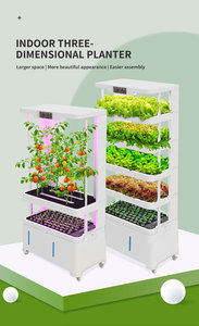 Venta caliente de bajo costo Agricultura Hogar Jardín Hidropónico Kits completos Sistema de cultivo para vegetales - Product Image 2