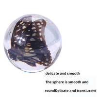 Poids de papier personnalisé en résine ovale avec inclusion d'un papillon moustique 3D