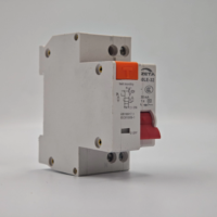 Disjoncteur différentiel miniature en plastique TPNL DPNL 230V 2P avec protection contre les surintensités et les fuites de courant RCBO MCB