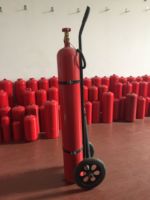 Extincteur de feu en acier au carbone CO2 2kg 5kg 7kg