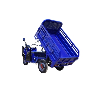 รถบรรทุก<span class=keywords><strong>สามล้อ</strong></span>3ล้อสำหรับกระบะเปิดอัตโนมัติ1000W จากยุโรปสหรัฐอเมริกา - Product Image 2