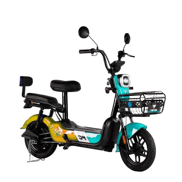 New Model 16inch 48V High Carbon Steel Lead Acid Battery Electric Bike with Light