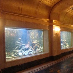 Lastra Acrilica per Acquario di Acqua Salata, Varie Dimensioni, Capacità <span class=keywords><strong>500</strong></span> Galloni - Product Image 5