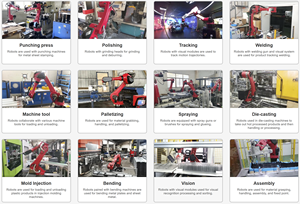 Manipulateur robotique industriel BORUNTE, groupe d'action latérale, entraînement électrique, indice de protection IP67, 6 griffes, dimensions 30x30x30 - Product Image 4