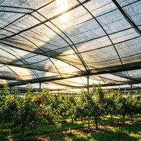 Zware zwarte HDPE schaduwdoekrollen, UV-gestabiliseerd, op maat gemaakte breedte, voor landbouw en boomgaarden.