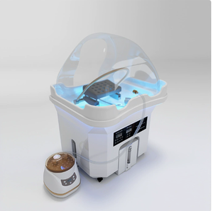 Equipo de Lavacabezas Portátil de Diseño Moderno Japonés para Spa Capilar con Función de Vaporización, Sin Necesidad de Tuberías - Product Image 1