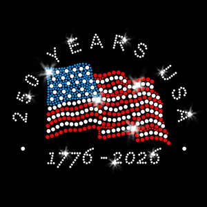Camiseta con Pedrería 250 Years America |   Parches de Diamantes de Imitación con Diseño de la Estatua de la Libertad y la Bandera Americana - Product Image 3