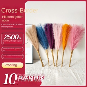 Modernas varas <span class=keywords><strong>de</strong></span> pampa artificiales <span class=keywords><strong>de</strong></span> plástico hechas a mano, estilo fuegos artificiales, venta al por mayor <span class=keywords><strong>de</strong></span> fábrica para el Día <span class=keywords><strong>de</strong></span> San Valentín - Product Image 2