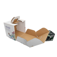 Individuell Bedruckte Robuste Wellpappe-Tragetasche Faltbare Verpackungsbox für Geschenke Lebensmittel Snack-Verpackung