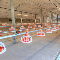 Système d'alimentation et d'abreuvement automatique haute performance pour l'élevage de poulets de chair