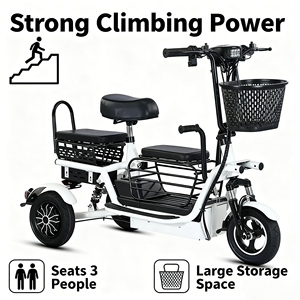 Nouveau scooter électrique à double moteur 800W pour personnes âgées 2025, adultes, charge utile de 300 kg, véhicules 48V, tricycles électriques à carrosserie ouverte, <span class=keywords><strong>3</strong></span> <span class=keywords><strong>roues</strong></span> - Product Image 5