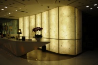 Innovant Translucide onyx Marbre Blanc albâtre feuilles panneau mural