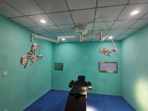 Lts29 द्वारा अनुमोदित दीवार सर्जरी लैंप मेडिकल लैंप मेडिकल लैंप ऑपरेशन रूम लाइट - Product Image 2