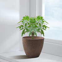 Petit Pot de fleur en plastique d'intérieur de Style nordique, Pot de plante en résine