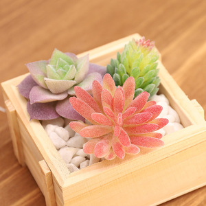 Bán Buôn Nhân Tạo Mini Xương Rồng Cây Mọng Nước Trang Trí - Product Image 2