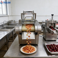 Commerciële groentesnijder, groenteschiller en -snijmachine voor fruitverwerkingsbedrijven