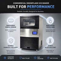 Commerciële Granulaire Schijfijsmachine 100kg per 24 uur CE Automatische Snelle Productie voor Restaurant Buffet Zeevruchten Keuken Bar